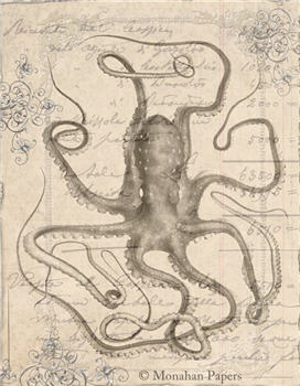 Long Leg Octopus - X257