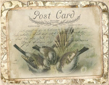 Brown Damask Bird Gathering - X272