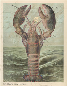 Lobster - X289