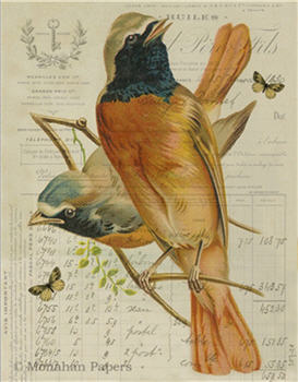 Huilles Bird Pair - X553
